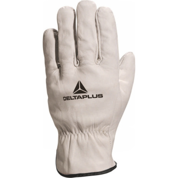 DPL FBN49 DRIVER MT 10
