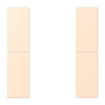 JUNG KNX TASTAFD. F50 2V LC502TSA238