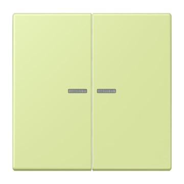 JUNG WIP HOME/KNX-F10 2V. LENS LC32053