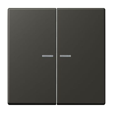 JUNG WIP HOME/KNX-F10 2V. LENS LC4320R