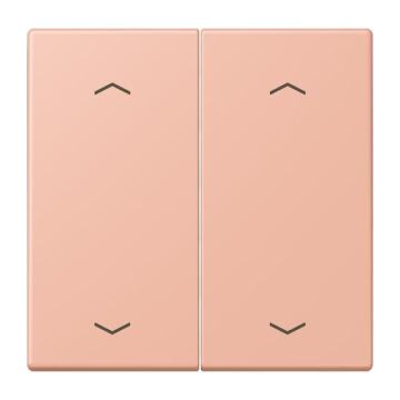 JUNG WIP KNX-F10 TASTER 2V. PIJL LC3210