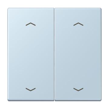 JUNG WIP KNX-F10 TASTER 2V. PIJL LC3202