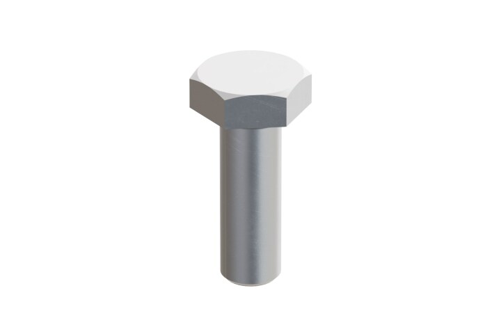 STAGO ZESKANT BOUT M10X30 RVS316